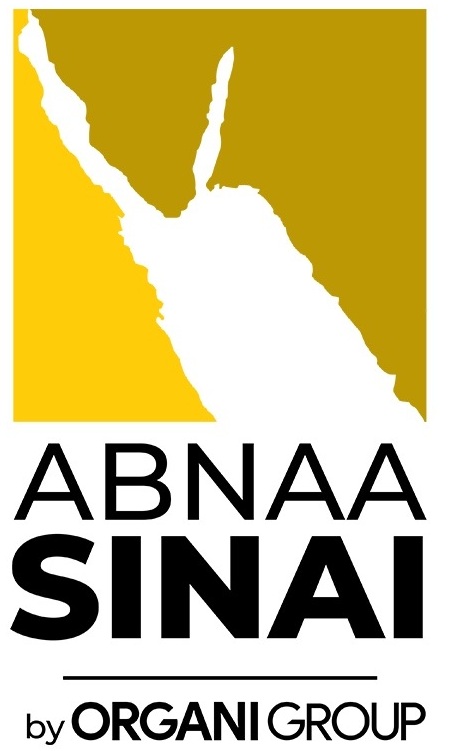 Abnaa Sinai For Trade And Construction