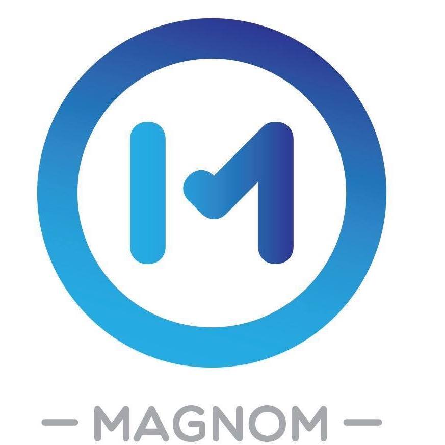 Magnom Holding